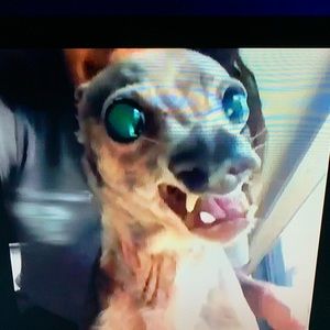 Meet your Posher, Francisco